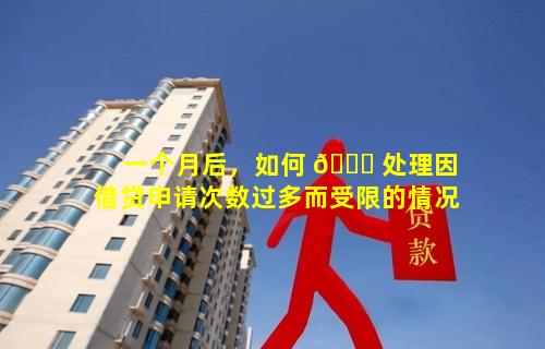 一个月后，如何 🐒 处理因借贷申请次数过多而受限的情况